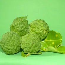 Бреза